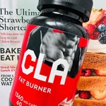 Жиросжигатель CLA FAT BURNER ProteinRex фото 1 