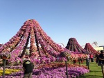 Парк цветов., Дубай, О.А.Э.