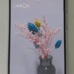 Телефон Samsung Galaxy A41 4/64GB фото 1 