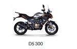 Мотоцикл VOGE DS300