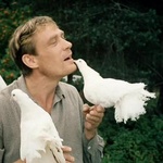 Фильм "Любовь и голуби" (1984) фото 3 