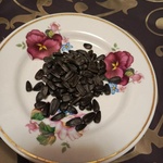 Семена подсолнечника "Золотая семечка" фото 4 