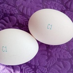 Яйца куриные пищевые столовые "Чепфа" фото 2 