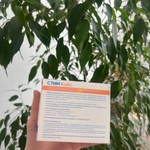 Стим Кидс фото 4 