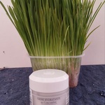 Крем для лица Sisley Moisturizer with Cucumber фото 1 