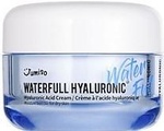 Крем для лица Jumiso Waterfull Hyaluronic Cream