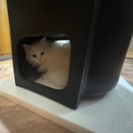 Раковина Wellsee M1 Limited Edition 318805000 фото 2 