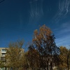 Elkatafanova