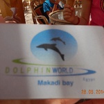 Экскурсия в дельфинарий Dolphin World, Хургада фото 1 