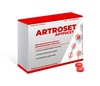Артросет (Artroset)