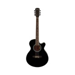 Акустическая гитара Shinobi HB401A