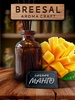 Breesal Aroma Craft Диффузор для дома с палочками,