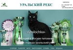 Кошки породы Уральский рекс