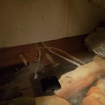 Ловушка от тараканов "Чистый дом" фото 6 