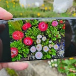 Телефон Samsung S23 ultra фото 1 