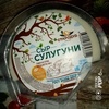 Сыр сулугуни "Стародуб"