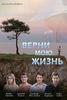 Сериал "Верни мою жизнь"