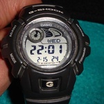 Часы Casio G-2900F-2V фото 1 