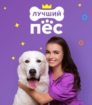 Передача "Лучший пёс", ТВ3