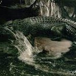 Фильм "Крокодил" (2000) фото 2 