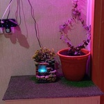 Коврик-травка Ковры и газоны фото 1 