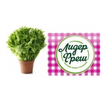 Салат свежий "Лидер Фреш"