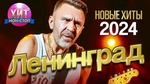 Песня "Женщина в жёлтом" Группа Ленинград