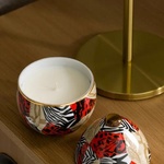 Ladenac Milano Africa свеча Leopard Predator 220г фото 1 