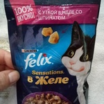 Корм для кошек Felix с уткой в желе со шпинатом фото 1 