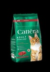 Корм сухой CATTERA для взрослых кошек с говядиной