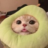 Аиша2266