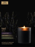 Ароматическая свеча Breesal TERRA MYSTICA «Veil»