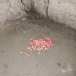 Средство от мышей ТриДэ-Вэ фото 4 