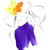 Liilimoskvina
