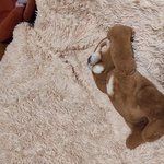 Русский мишка интерактивная игрушка FurReal фото 1 