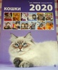 Календарь "Забавные котята"