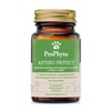 ProPhyto Артро Защита