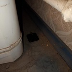 Ловушка от тараканов "Чистый дом" фото 8 