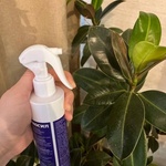 Аминосил спрей для декоративных лиственных фото 1 