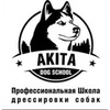 Akita Dog School, Набережные Челны