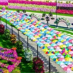 Парк цветов., Дубай, О.А.Э. фото 2 