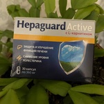 Гепагард Актив - Гепатопротектор (Hepaguard Active) фото 1 
