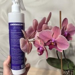 Витамины для орхидей Аминосил, спрей 350 мл фото 3 