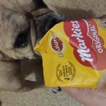 Запас кормов Pedigree на 2 недели фото 1 