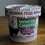 Мороженое "Петрохолод" щербет из чёрной смородины фото 1 