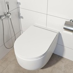 Подвесной унитаз набор 6в1 Lavinia Boho 20219148R фото 1 