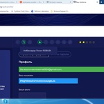 Агрегатор платежей RobPay фото 1 