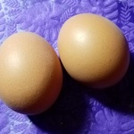 Яйца куриные пищевые столовые "Ко-Коль" фото 2 